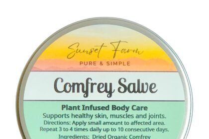 Comfrey salve herbal balm skin body care ointment 2 oz