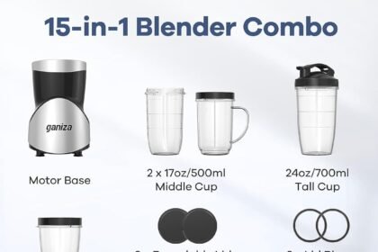 Ganiza smoothie blender review