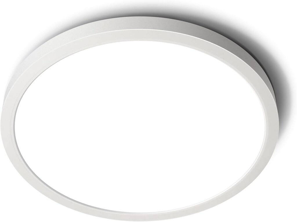 SunRider LED Flush Mount Ceiling Light Fixture, 5000K Daylight White, 2400LM, 12 Inch 24W White Round Flat Bedroom Lights, 240W Equiv. Non-Dimmable