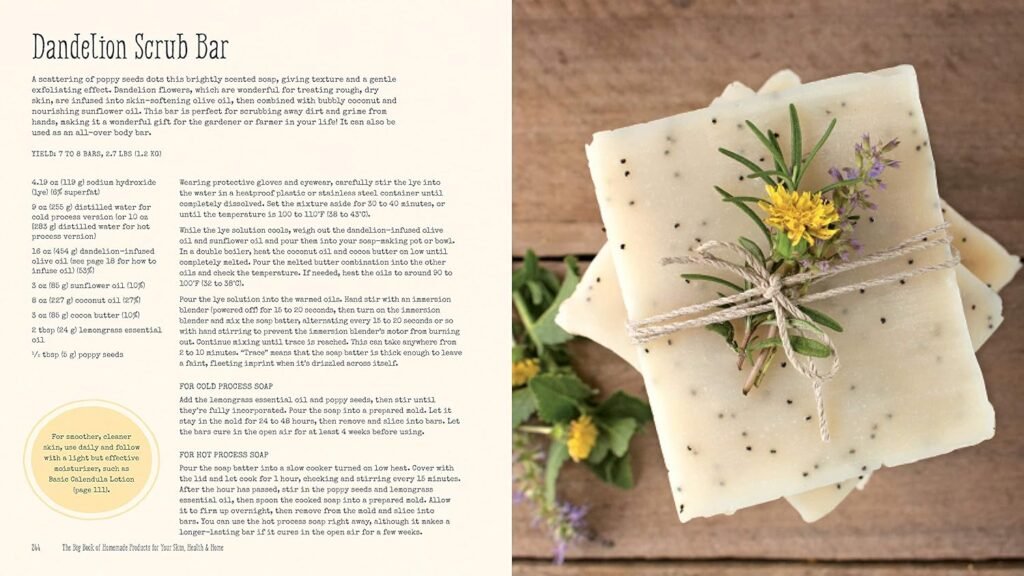 The Big Book of Homemade Products for Your Skin, Health and Home: Easy, All-Natural DIY Projects Using Herbs, Flowers and Other Plants      Paperback – April 14, 2020